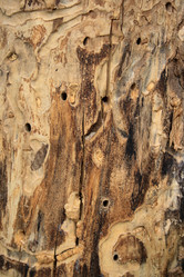 Similar image 7973656