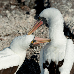 Similar image 7973657