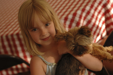 Similar image 7973665