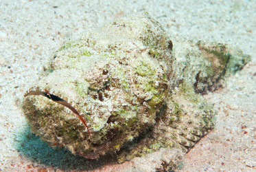 Similar image 7973671