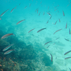 Similar image 7973677