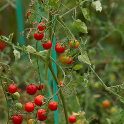 Similar image 7973679