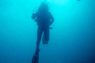 Similar image 7973680