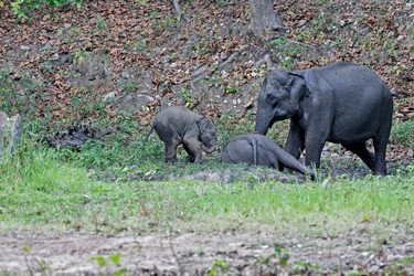 Similar image 7973681