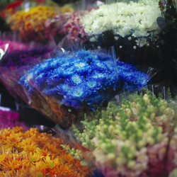 Similar image 7973685