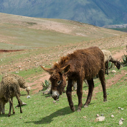 Similar image 7973686