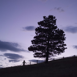 Similar image 7973691