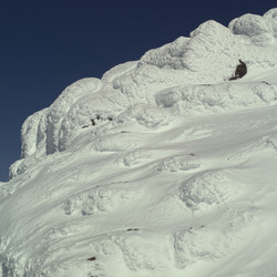 Similar image 7973693