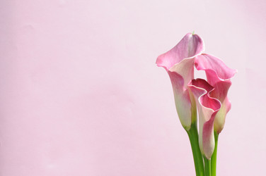 Similar image 7973694