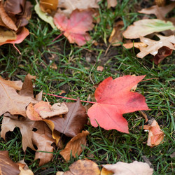 Similar image 7973713