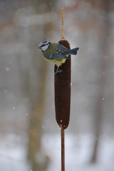 Similar image 7973721