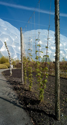 Similar image 7973725