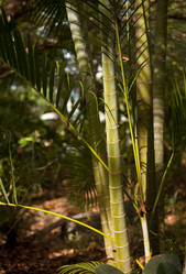 Similar image 7973726