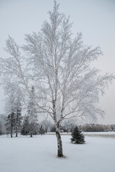 Similar image 7973730