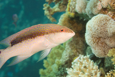 Similar image 7973732