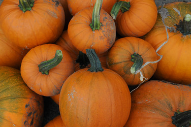 Similar image 7973742