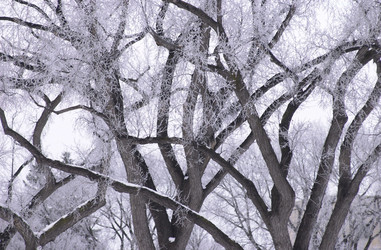 Similar image 7973746