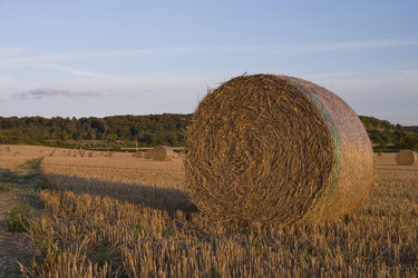 Similar image 7973748