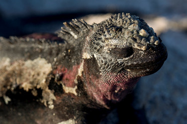 Similar image 7973757