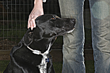 Similar image 7973758