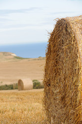 Similar image 7973792