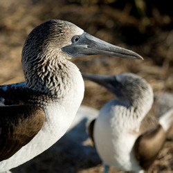 Similar image 7973794