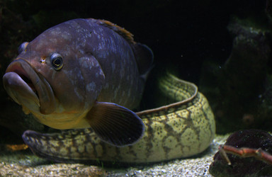 Similar image 7973803