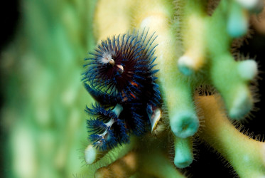 Similar image 7973809