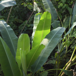 Similar image 7973810