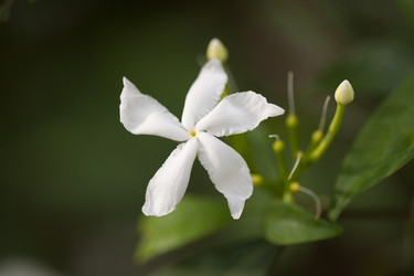 Similar image 7973822