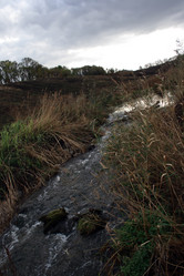 Similar image 7973826