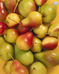 Similar image 7973833