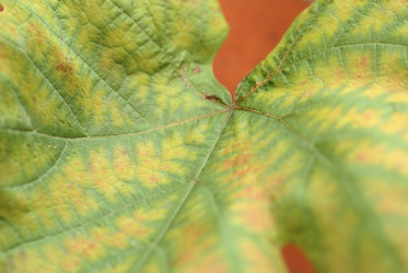 Similar image 7973835