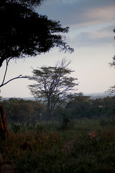 Similar image 7973838