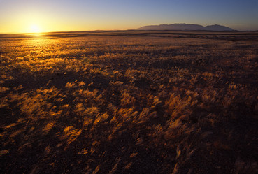 Similar image 7973844