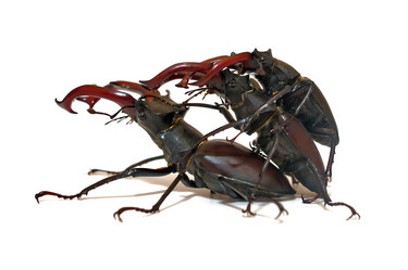 Similar image 7974016