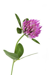 Similar image 7974020