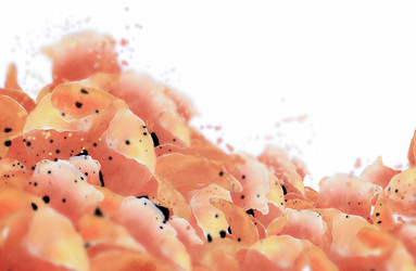 Similar image 7974066