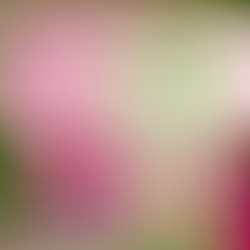 Similar image 7974285