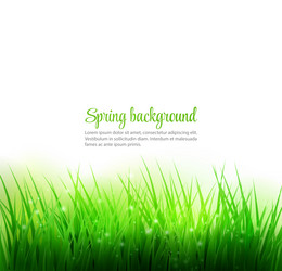 Similar image 7974459