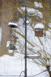 Similar image 7974639