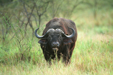 Similar image 7974642