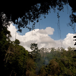 Similar image 7974643