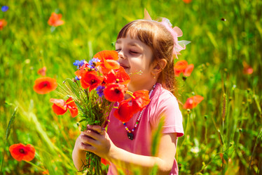 Similar image 7974754