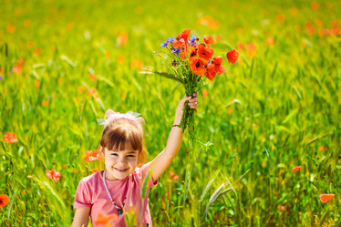 Similar image 7974757