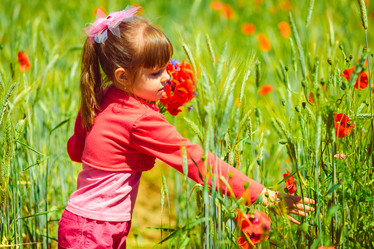 Similar image 7974762