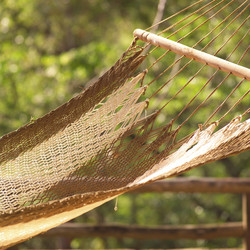 Similar image 7974894