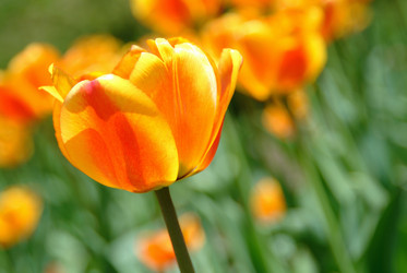 Similar image 7974895