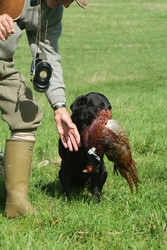 Similar image 7974900