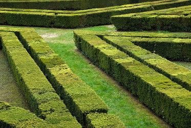 Similar image 7974905